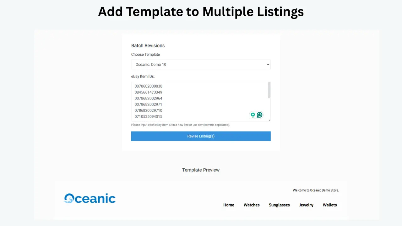 One eBay listing template applied consistently across a full catalog of listings