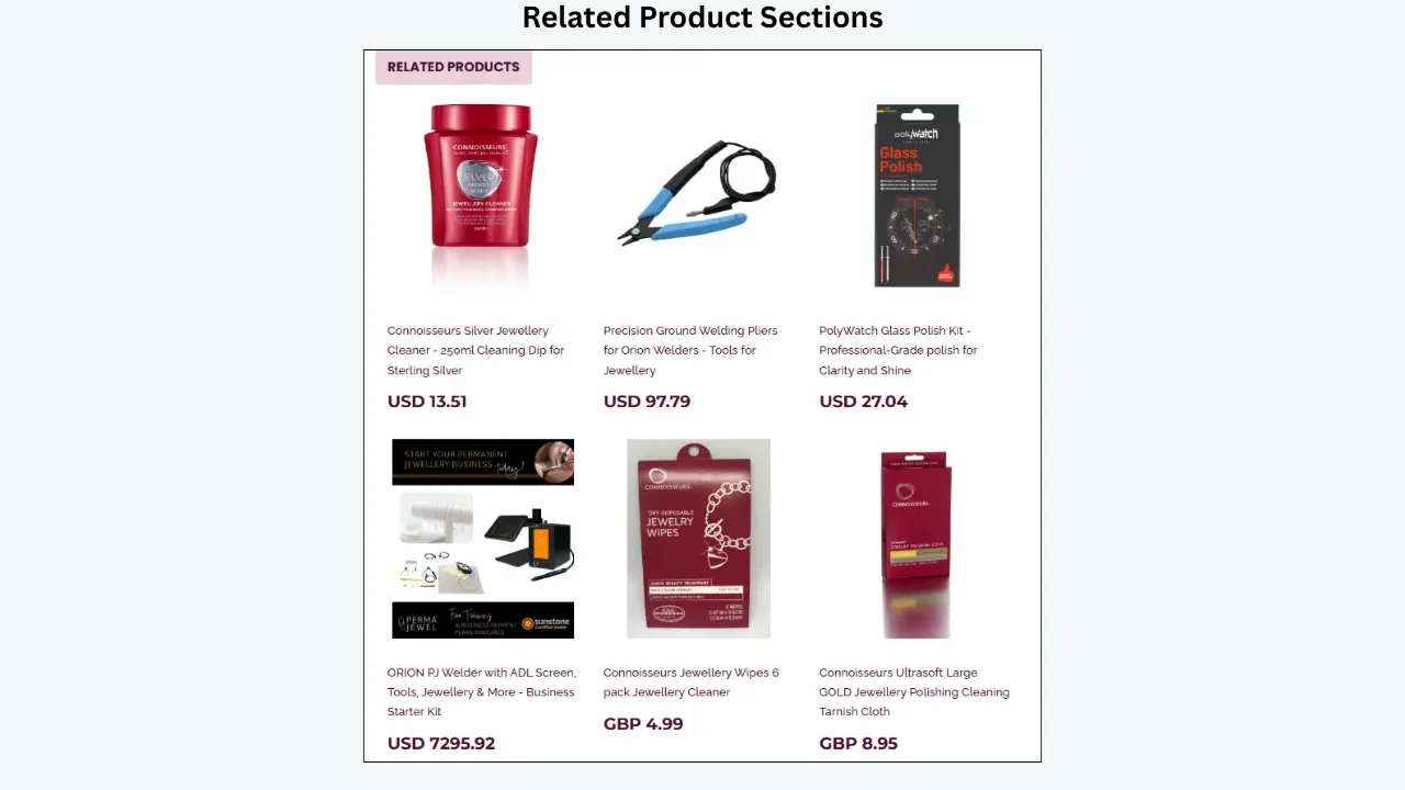 eBay related products section displaying jewelry cleaning supplies, tools, and accessories with prices.