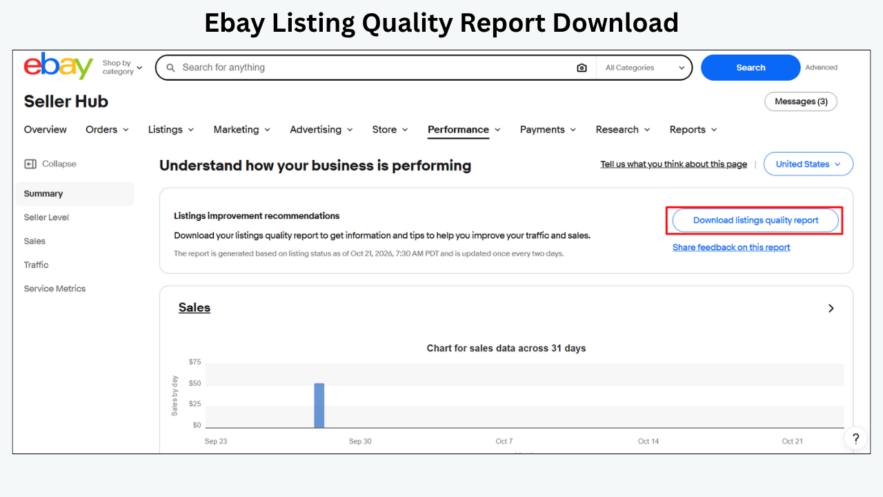 How to download the eBay Listing Quality Report from Seller Hub Performance.